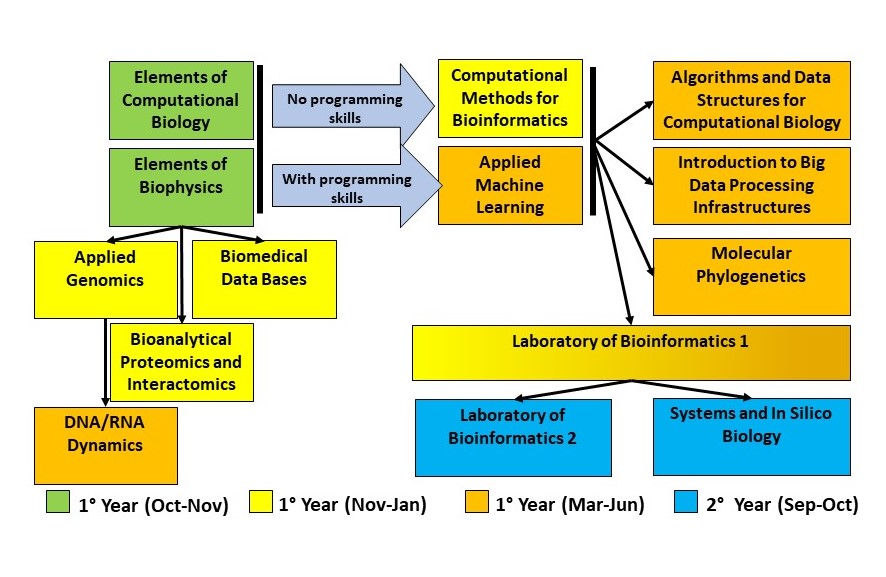 Propedeuticity for all the exams that qualify the student as a bioinformatician